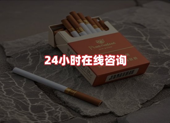 专业团队